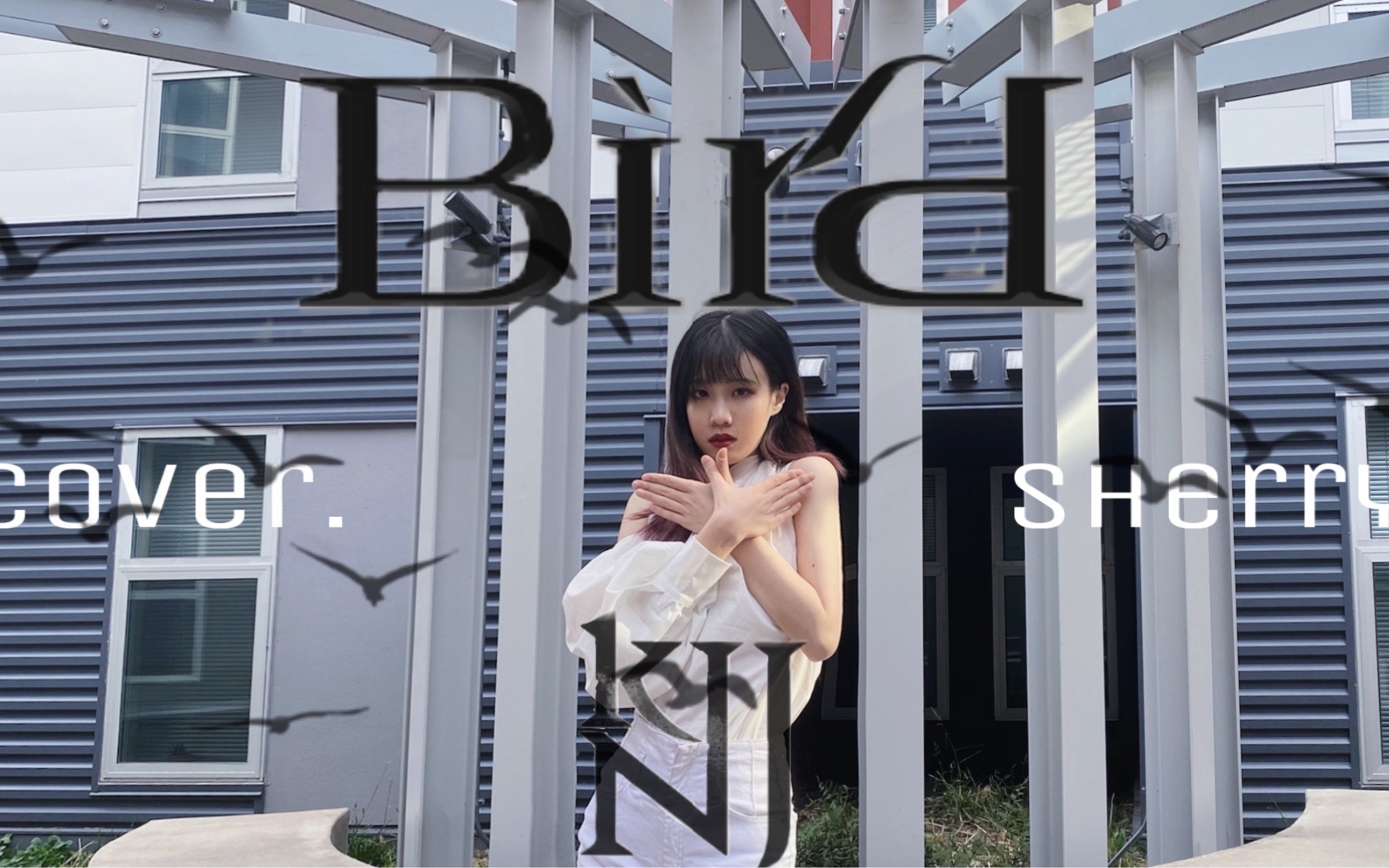 【sherry削梨】apink金南珠 — bird cover. 像自由的鸟儿去飞翔