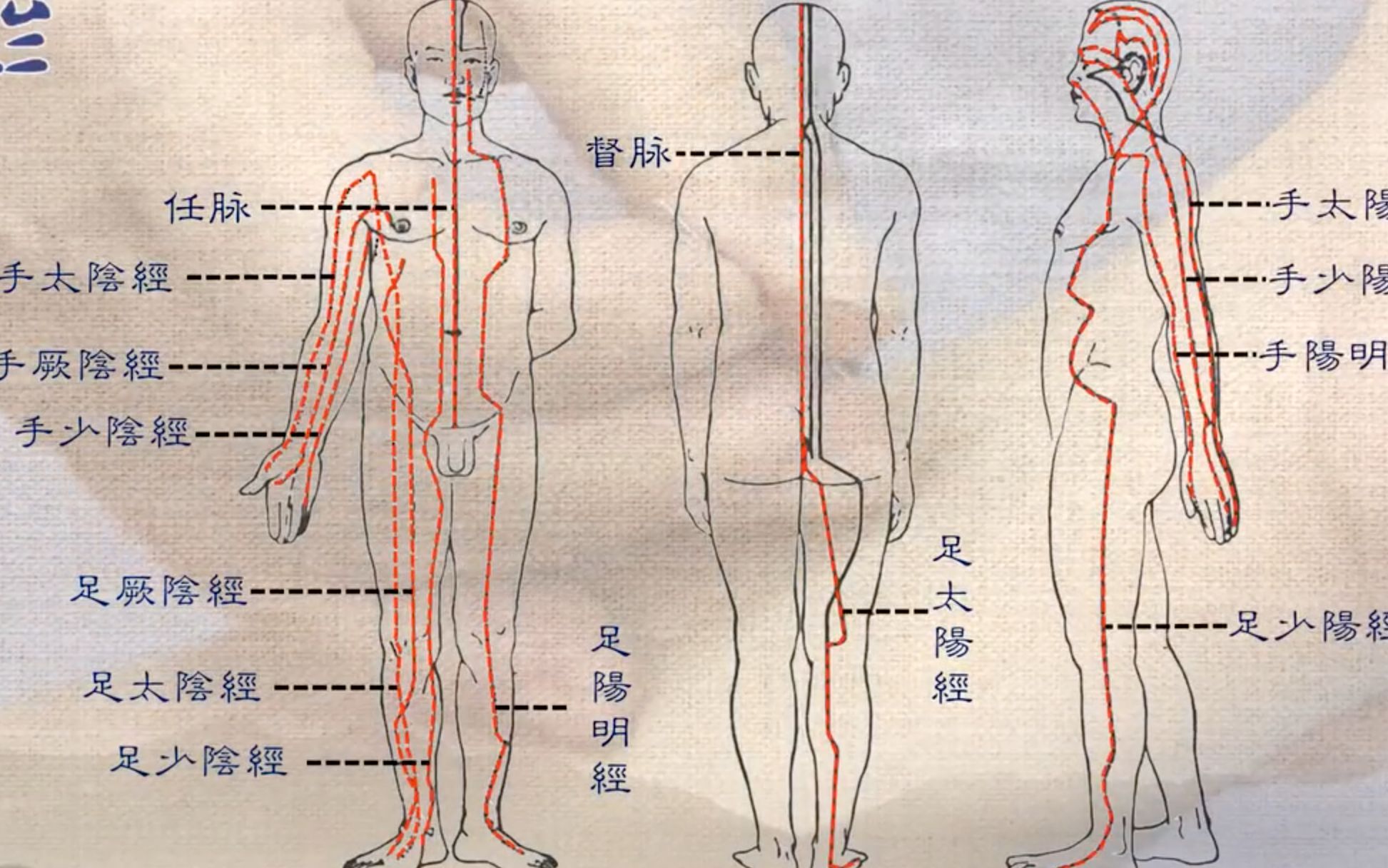 [图]【灵兰】针灸疗效是扎出来的还是蒙出来的？