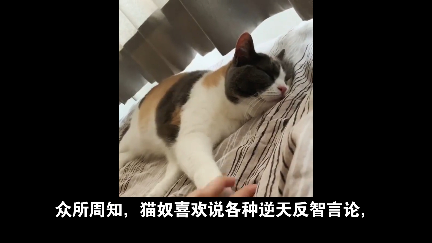 [图]今猫明人是个什么狗屁逻辑？今天虐猫明天虐人？