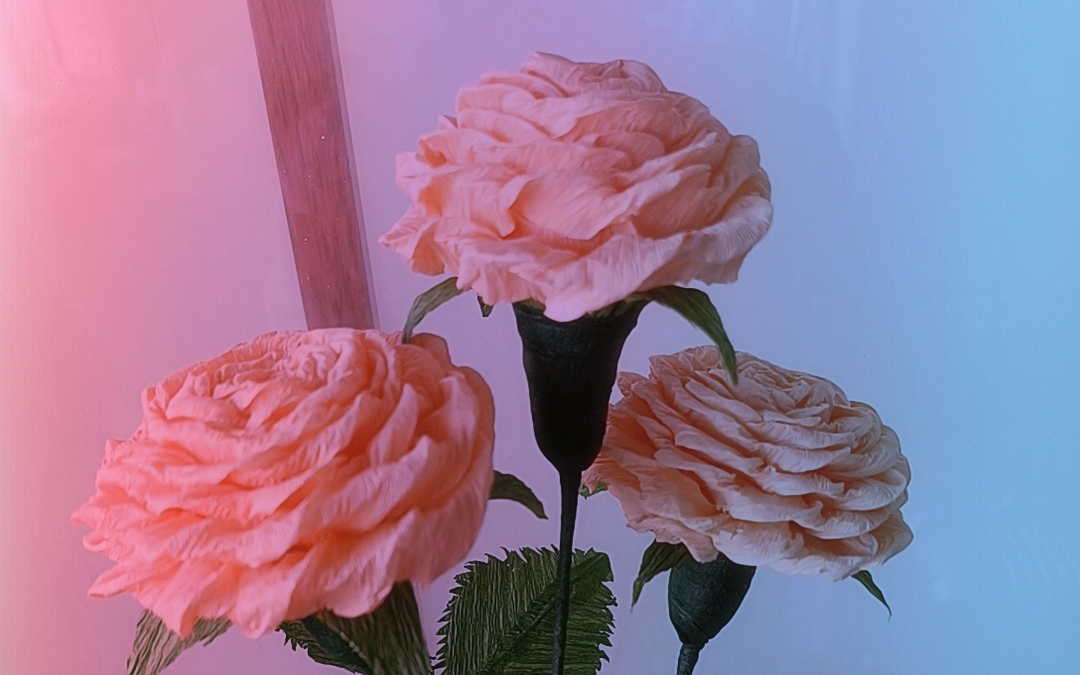 皱纹纸做的玫瑰花耶7099