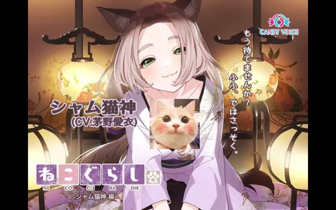 [奥斯曼人}【耳かき・吐息・乳液】新・ねこぐらし.〜シャム猫神 编〜哔哩哔哩bilibili