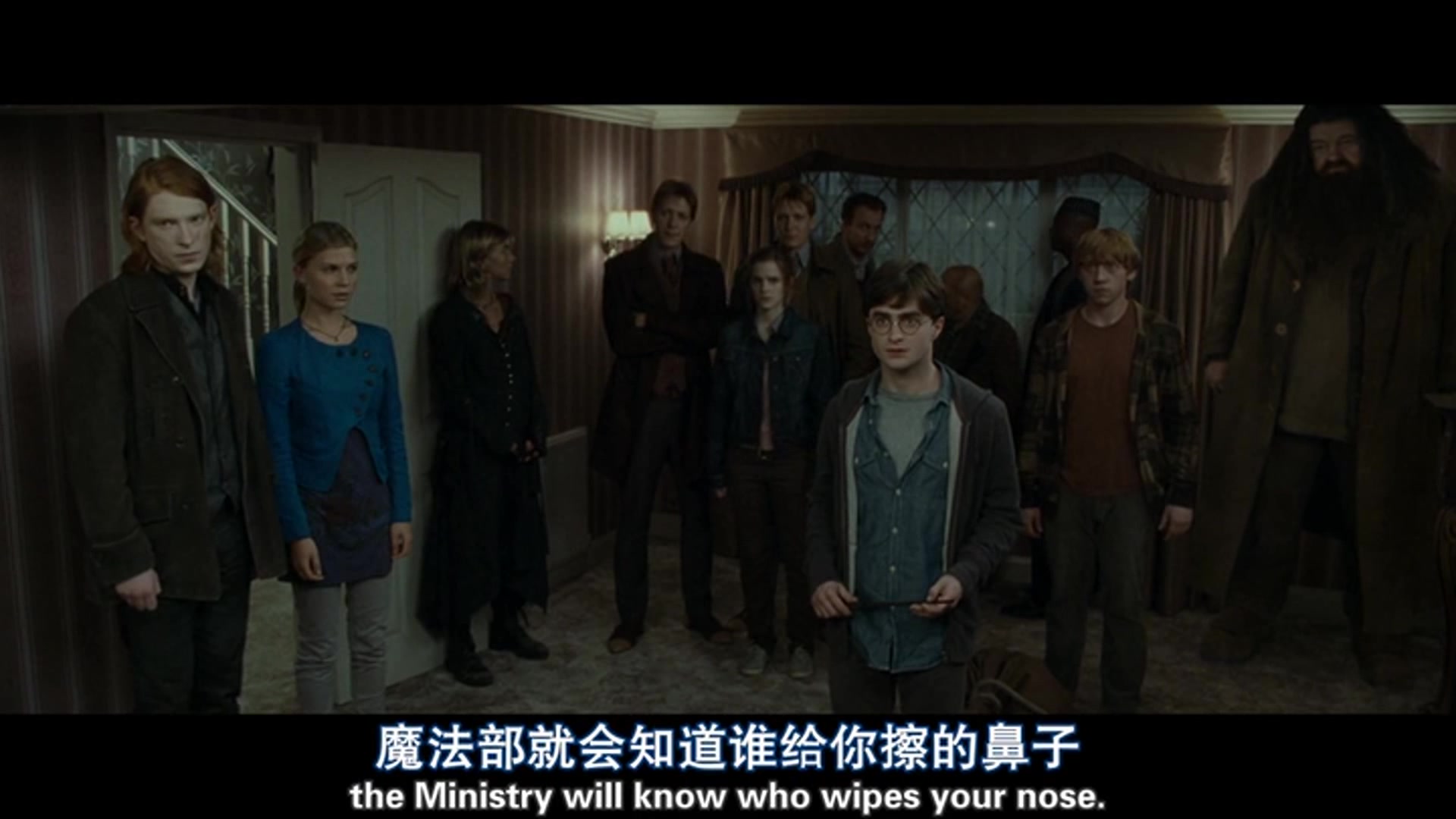 哈利波特与死亡圣器七个波特(the seven Potters)哔哩哔哩bilibili