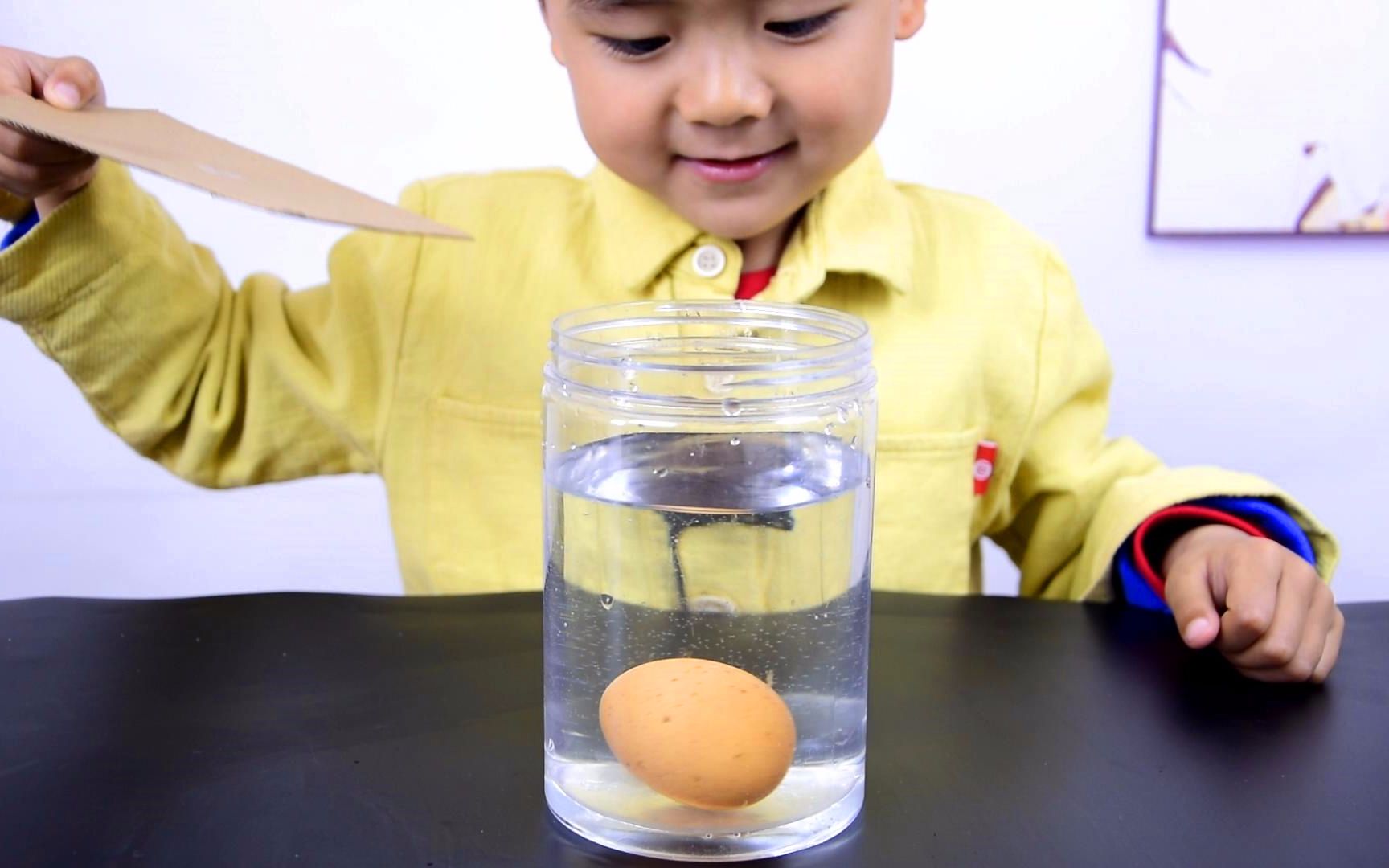 亲子趣味小实验:会跳水的鸡蛋,让孩子认识奇妙的惯性定律