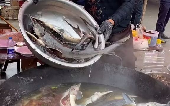 吃点硬货,家养鲟鱼#农村酒席#美食