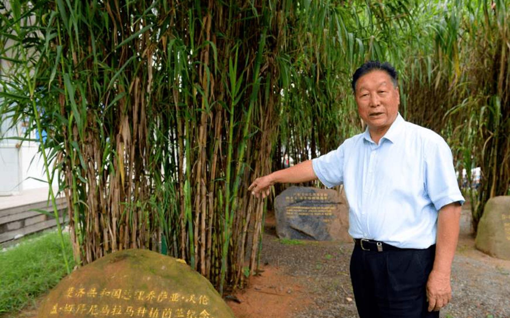 世界菌草之父林占熺用菌草征服世界的中国男人