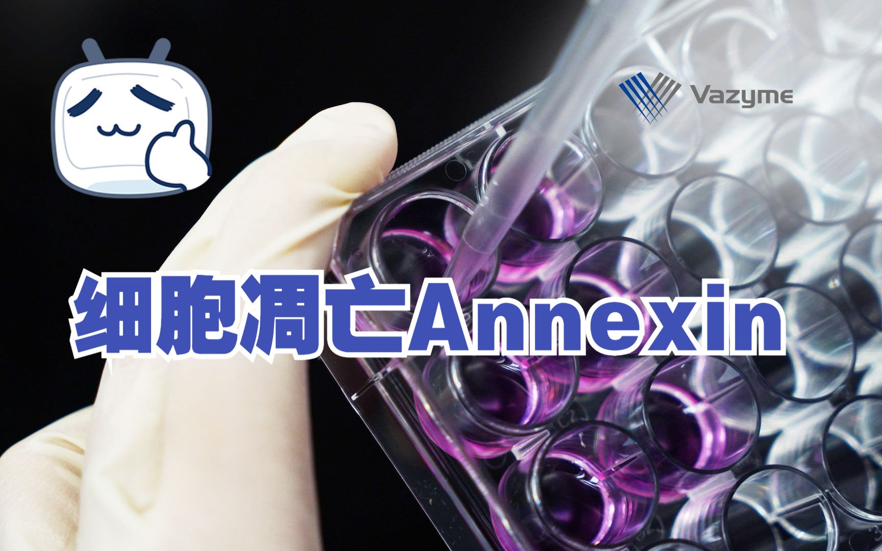 细胞凋亡Annexin哔哩哔哩bilibili