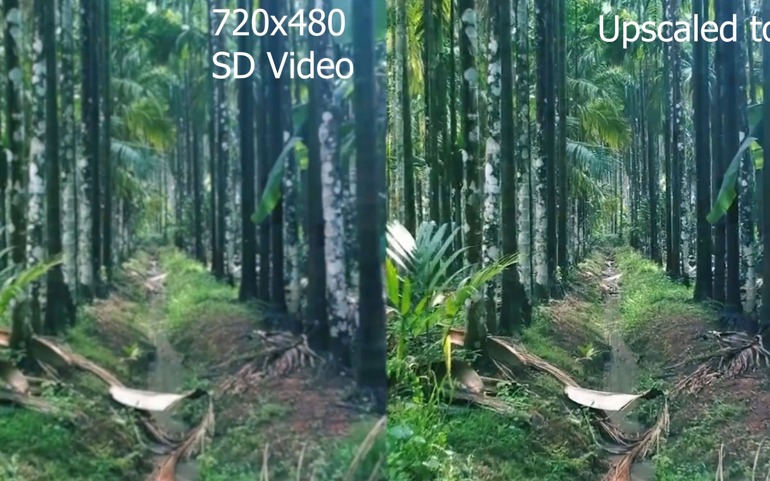 DVDFab Video Enhancer AI 将低分辨率视频升级到 4K 质量哔哩哔哩bilibili