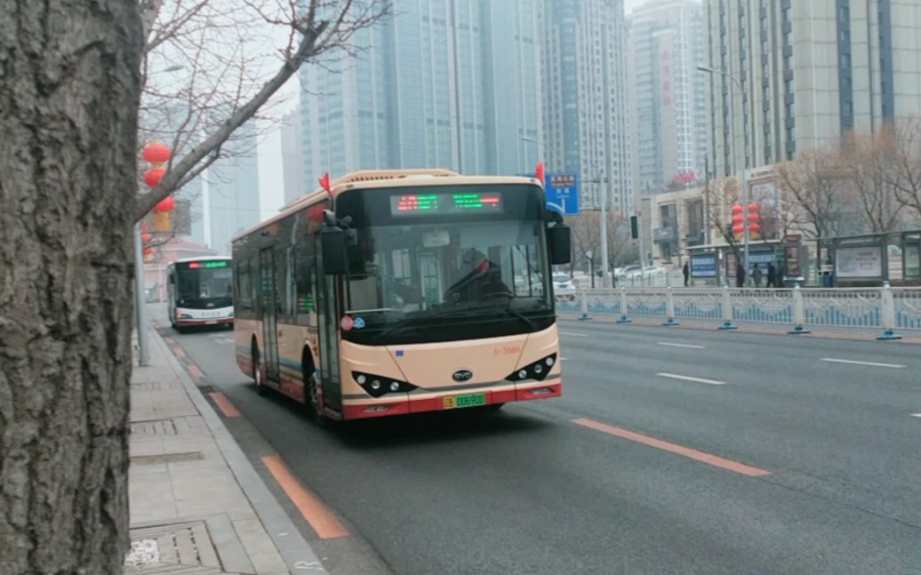 【新年快乐】大连公交49路(孙家沟~森林动物园南门)byd6101lgev12星海