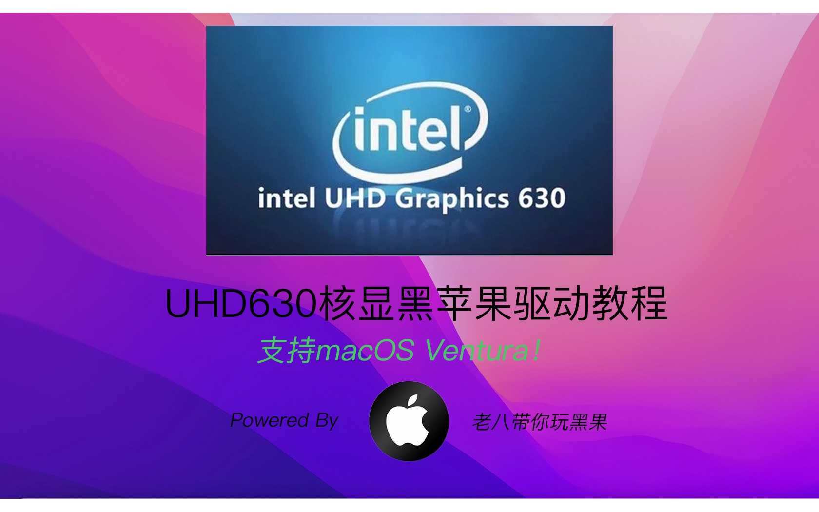 UHD630黑苹果驱动教程!支持macOS Ventura,简单省事(爷爷,你关注的UP更新啦!)哔哩哔哩bilibili