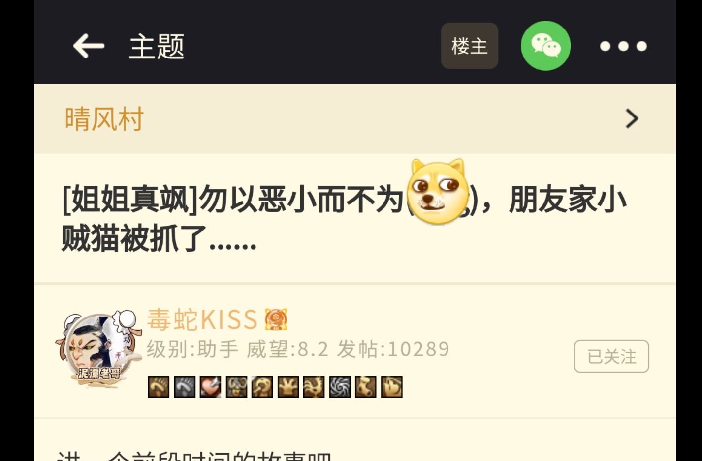 朋友家小贼猫被抓了......哔哩哔哩bilibili