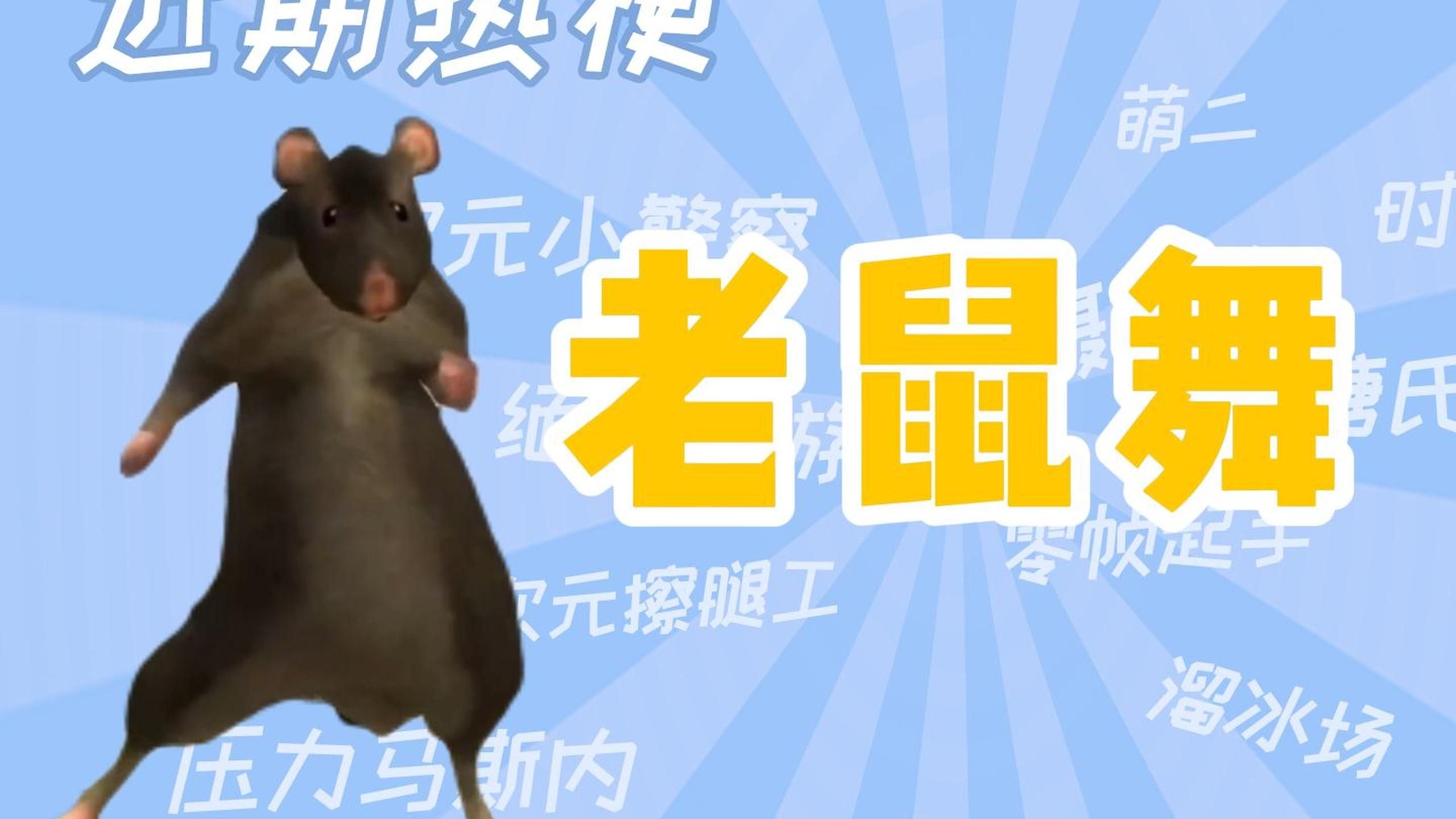 抖音听歌老鼠=抖音听歌老鼠是真的吗