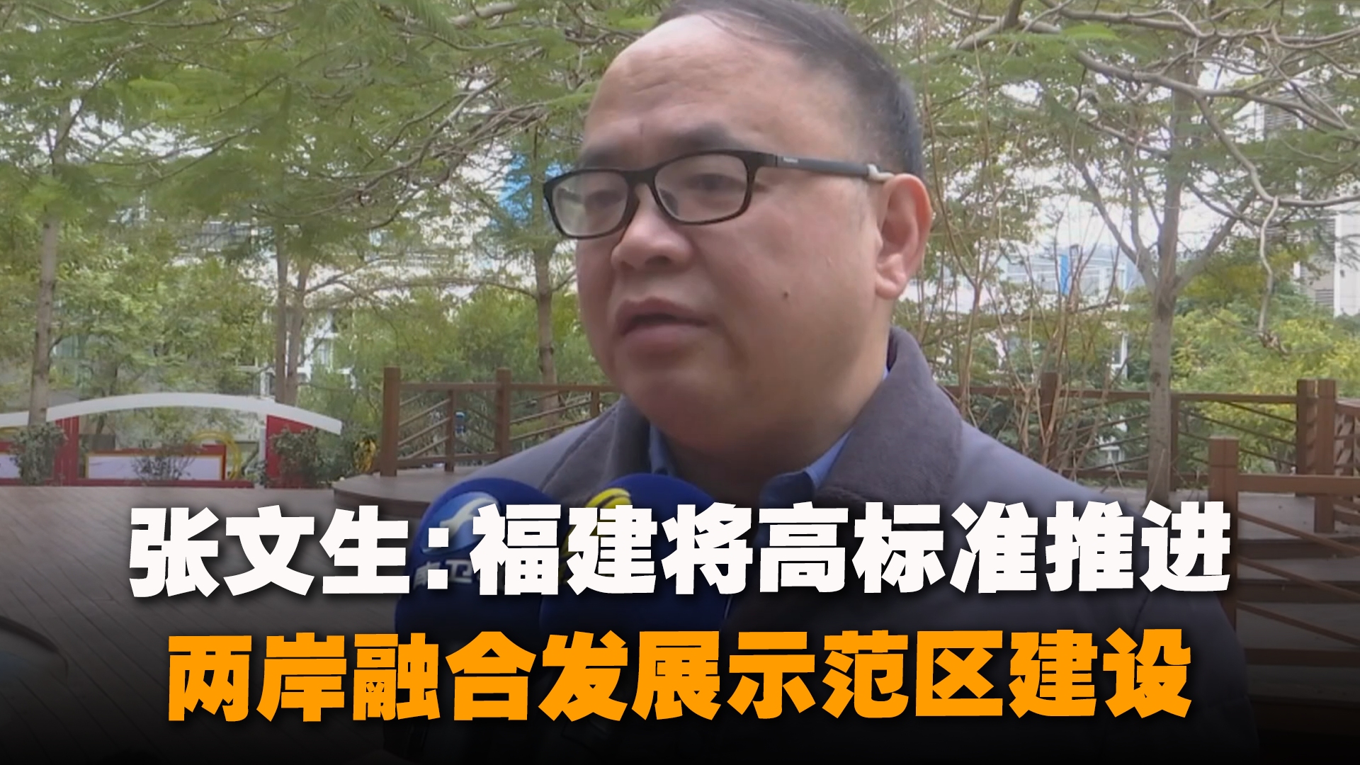 张文生:成绩突出!福建将高标准推进两岸融合发展示范区建设