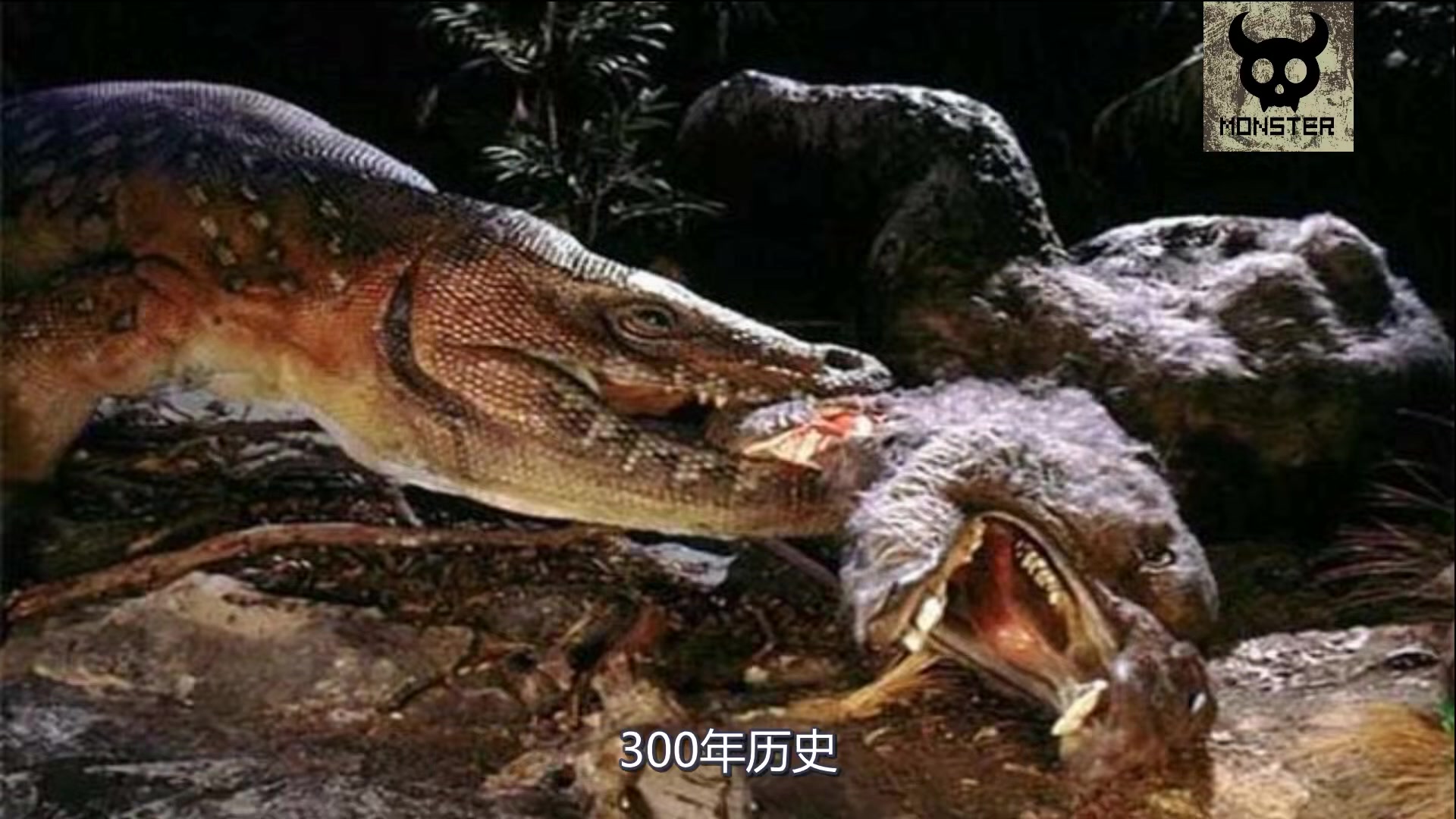 非人類:靈異未知生物澳洲魔龍,曾經與遠古生物突然消失的它都經歷了