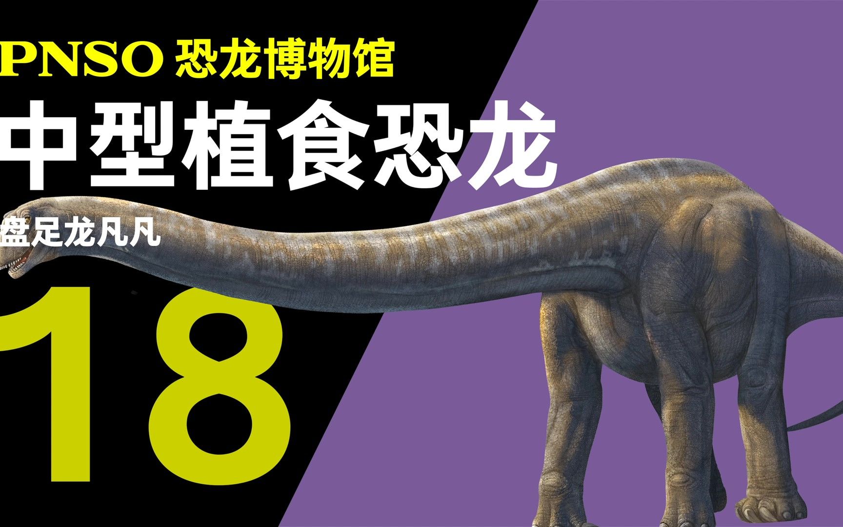 pnso恐龙博物馆:像长颈鹿一样的恐龙-盘足龙凡凡