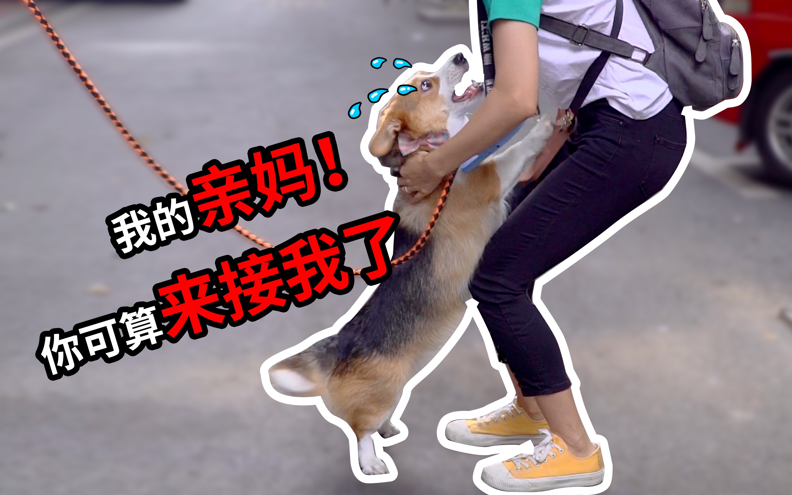 【小短腿duby】_哔哩哔哩_bilibili