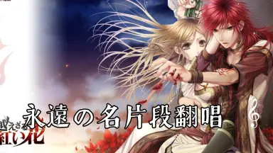 超えざるは紅い花-哔哩哔哩_Bilibili