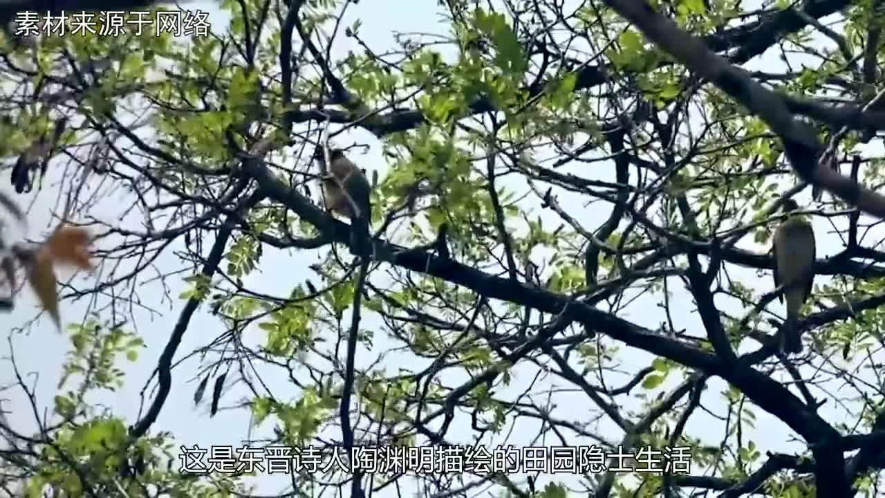 北大硕士王青松,携妻子隐居11年花光300多万,最终向现实妥协哔哩哔哩bilibili