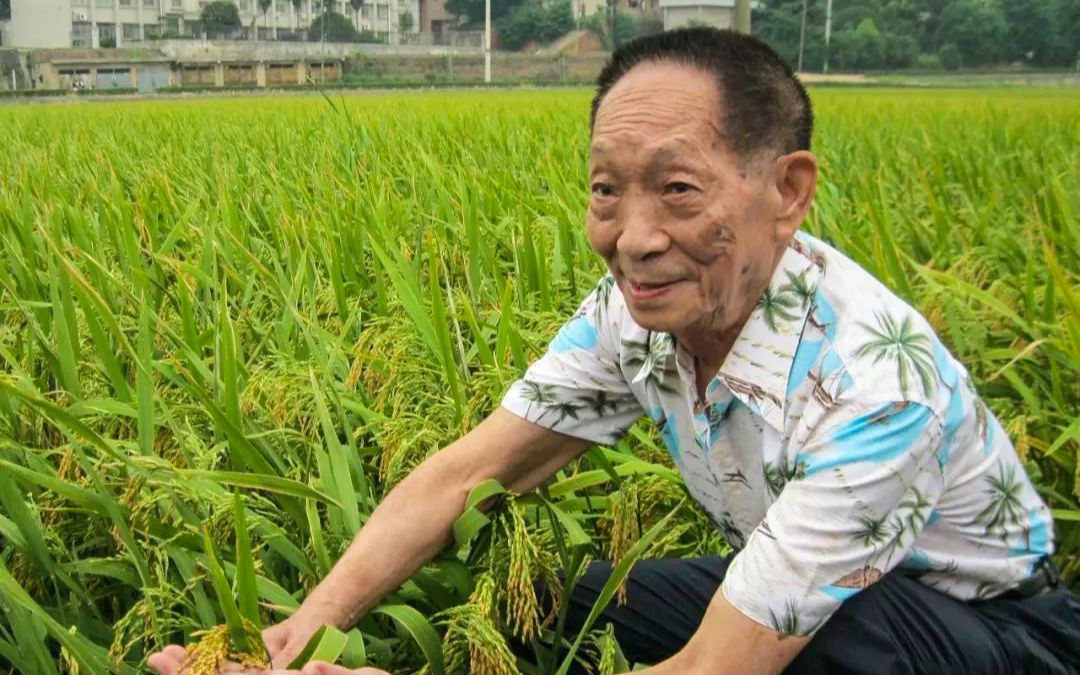 袁隆平:“变'90后'了,要健康快乐超百岁.”哔哩哔哩bilibili