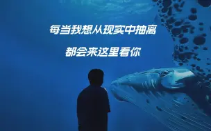 Télécharger la video: 每当我想从现实中抽离，都会来这里看你