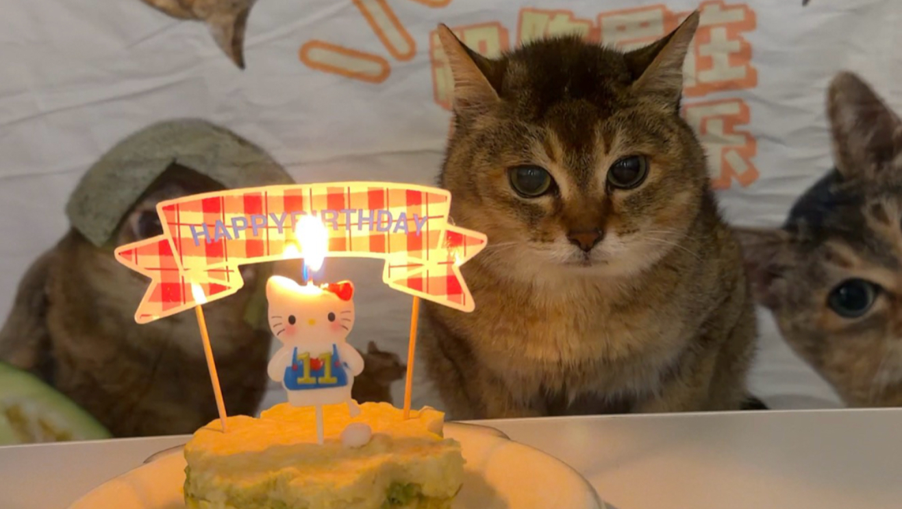 祝老眉生日快乐！