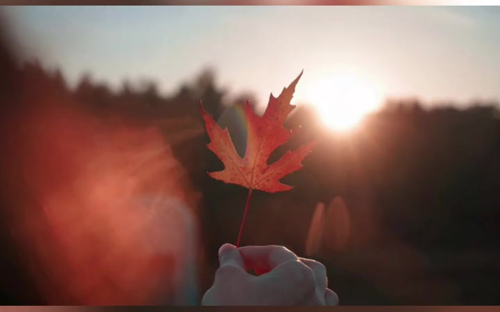 [图]这世界上最美的相遇，不是在路上，而是在心里。最好的感情不是朝夕相处，而是默默陪伴。