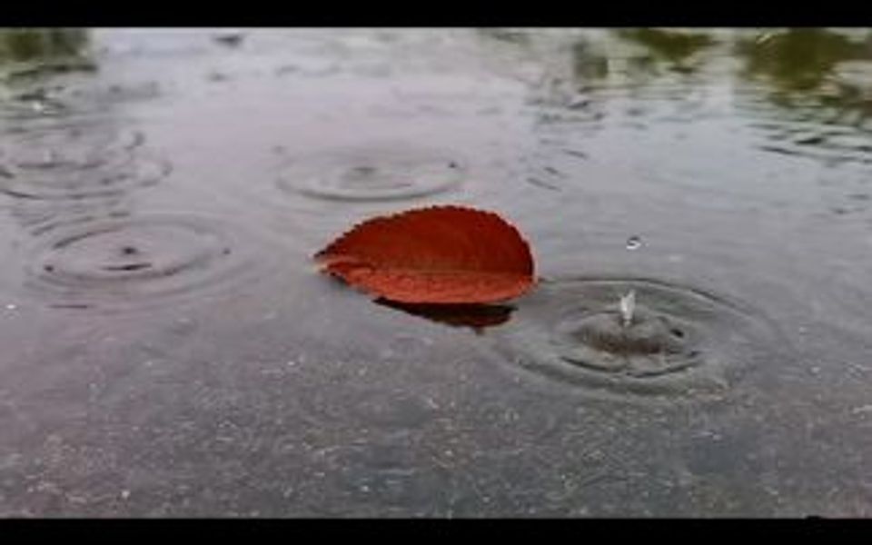 《雨的印记》想你的时候,你也能随雨滴而来该有多好…!哔哩哔哩bilibili