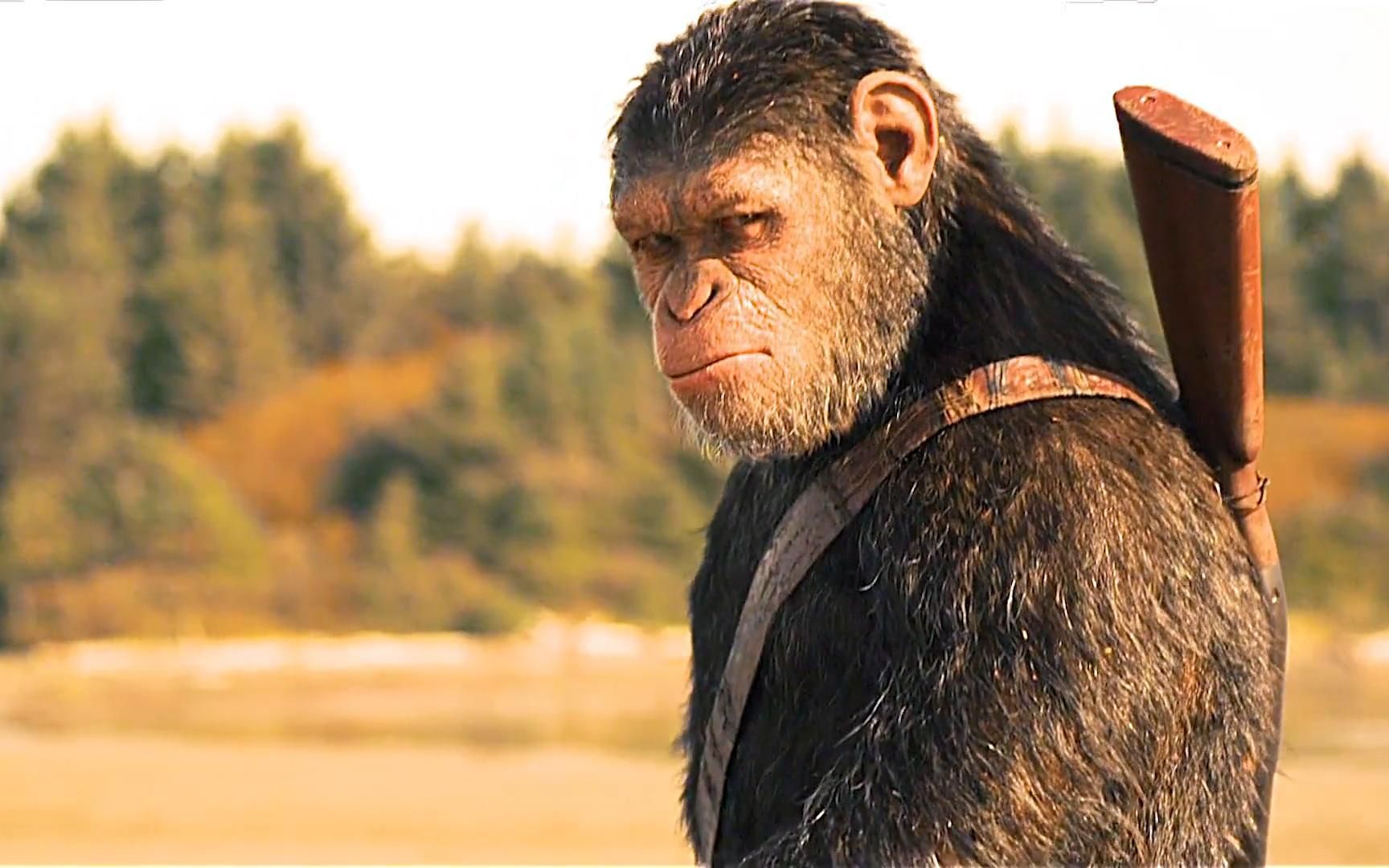 来自凯撒大帝和科巴的压迫感!