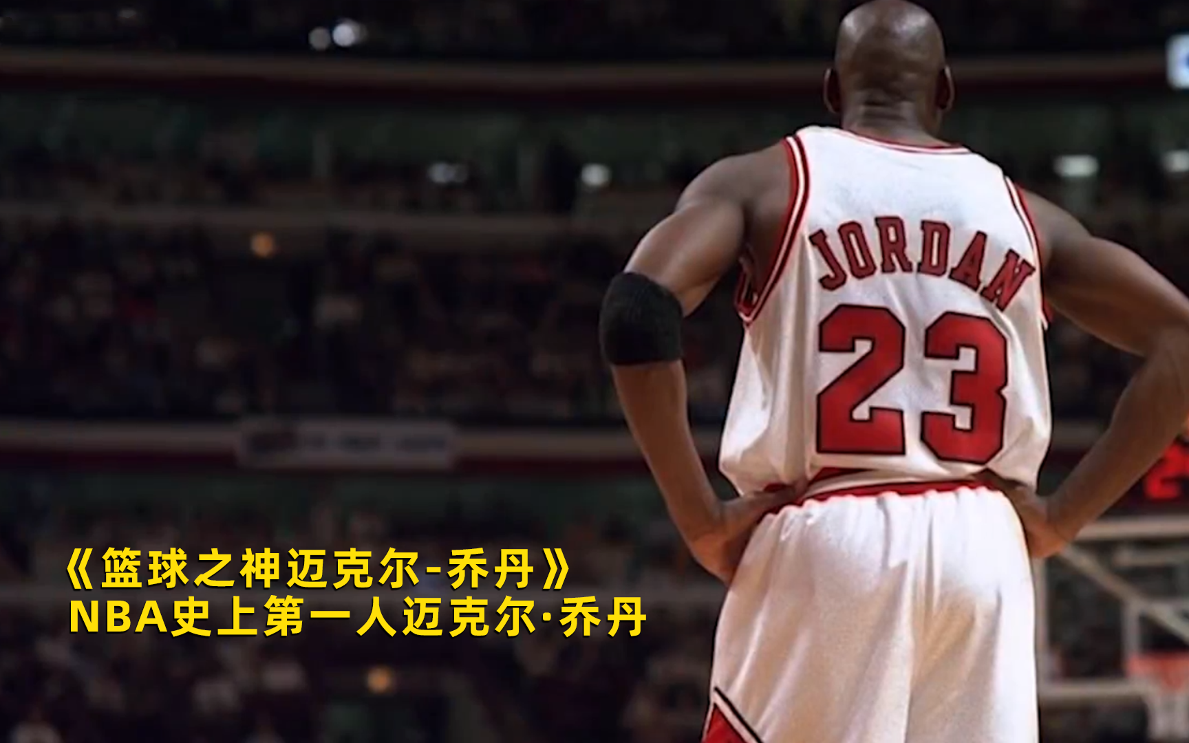 篮球之神迈克尔·乔丹第2集-纪录片-全集-高清在线观看-bilibili-哔哩哔哩
