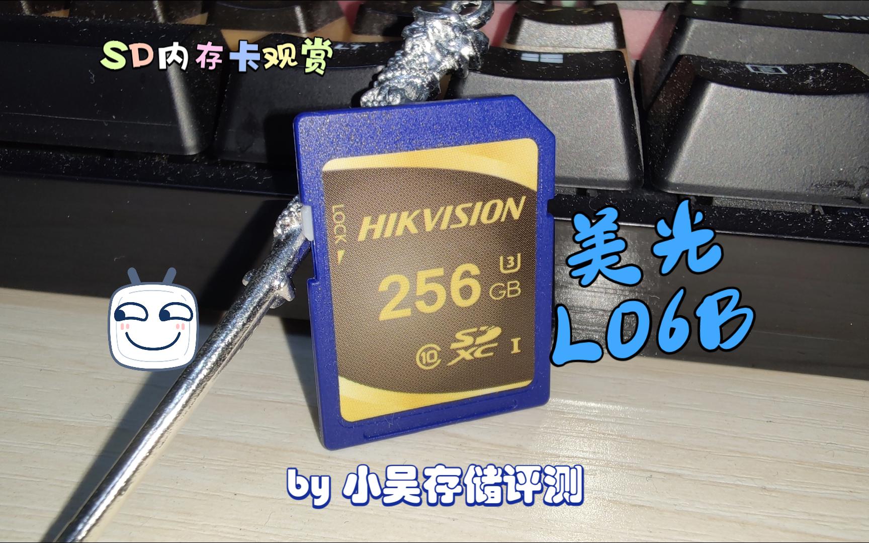 sd内存卡观赏-海康威视h10系列256gb,监控专用u3美光