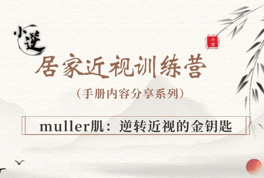 近视训练手册muller肌,逆转近视的金钥匙哔哩哔哩bilibili