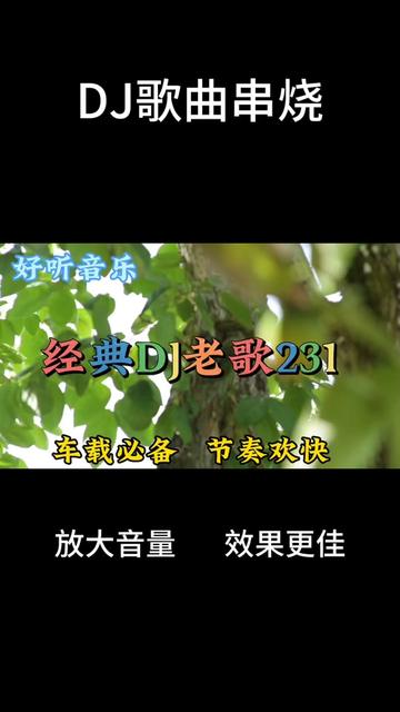 [图]一首非常好听音乐串烧歌曲《经典DJ老歌231》车载必备节奏欢快