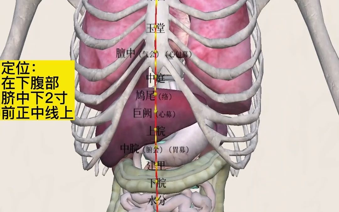 看视频 学中医 找石门穴位置哔哩哔哩bilibili