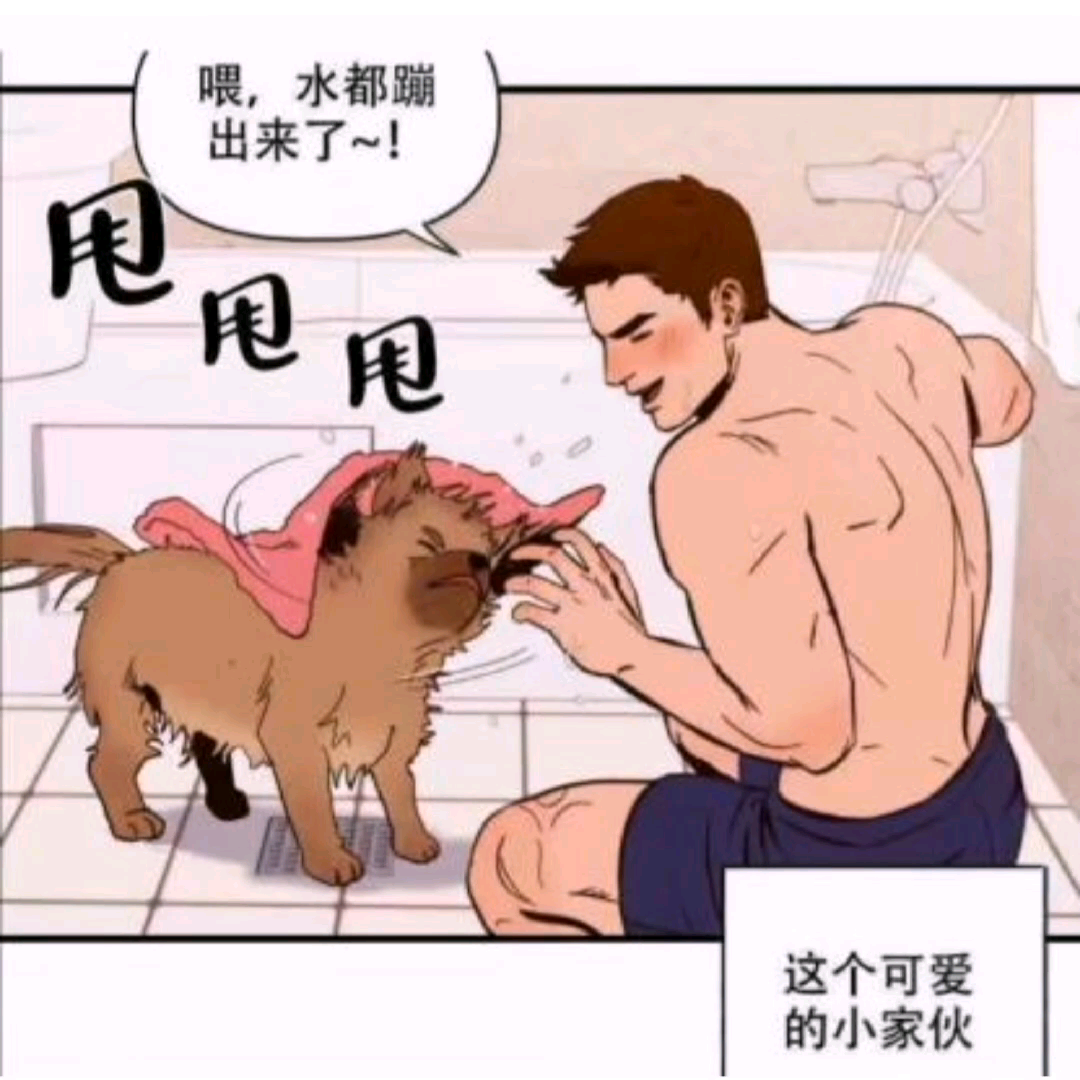 【忠犬】壮硕反差受&萌犬攻 主人,可以再一次?!哔哩哔哩bilibili