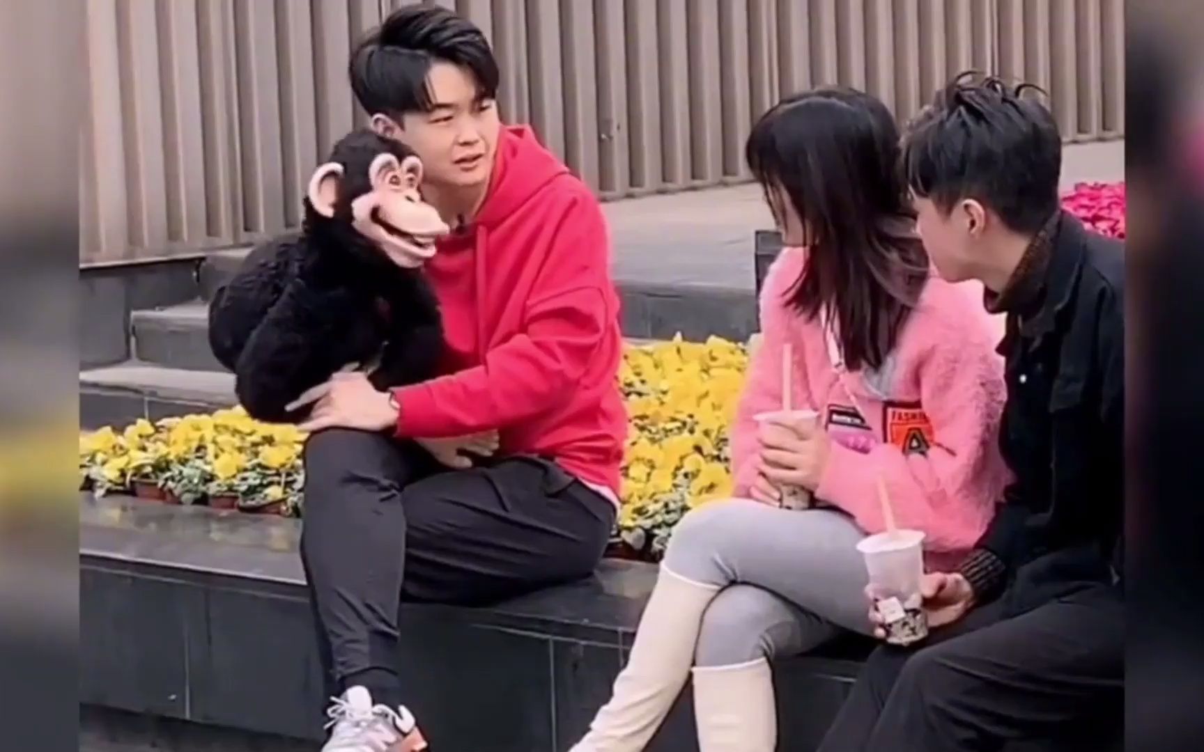 盘点腹语师跟空气对话爆笑神操作,小姐姐被吓的魂都没了!太损了