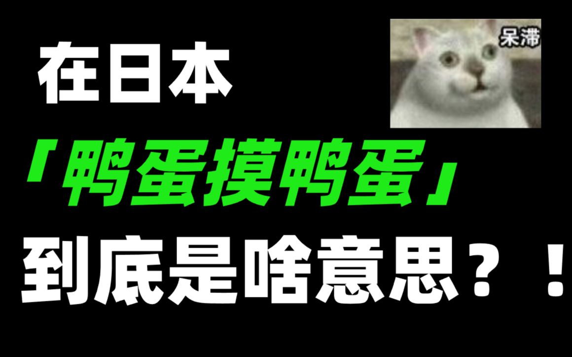 在日本“鸭蛋摸鸭蛋,牡蛎摸牡蛎”到底是啥意思?!哔哩哔哩bilibili