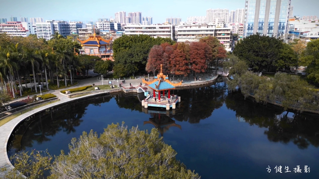 汕头金砂公园醉美红杉