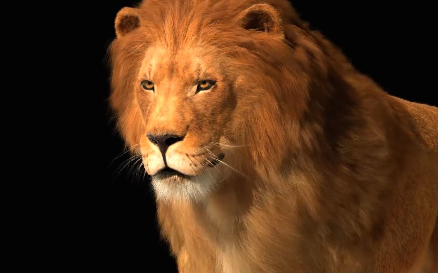 逼真的狮子王cg动画震撼