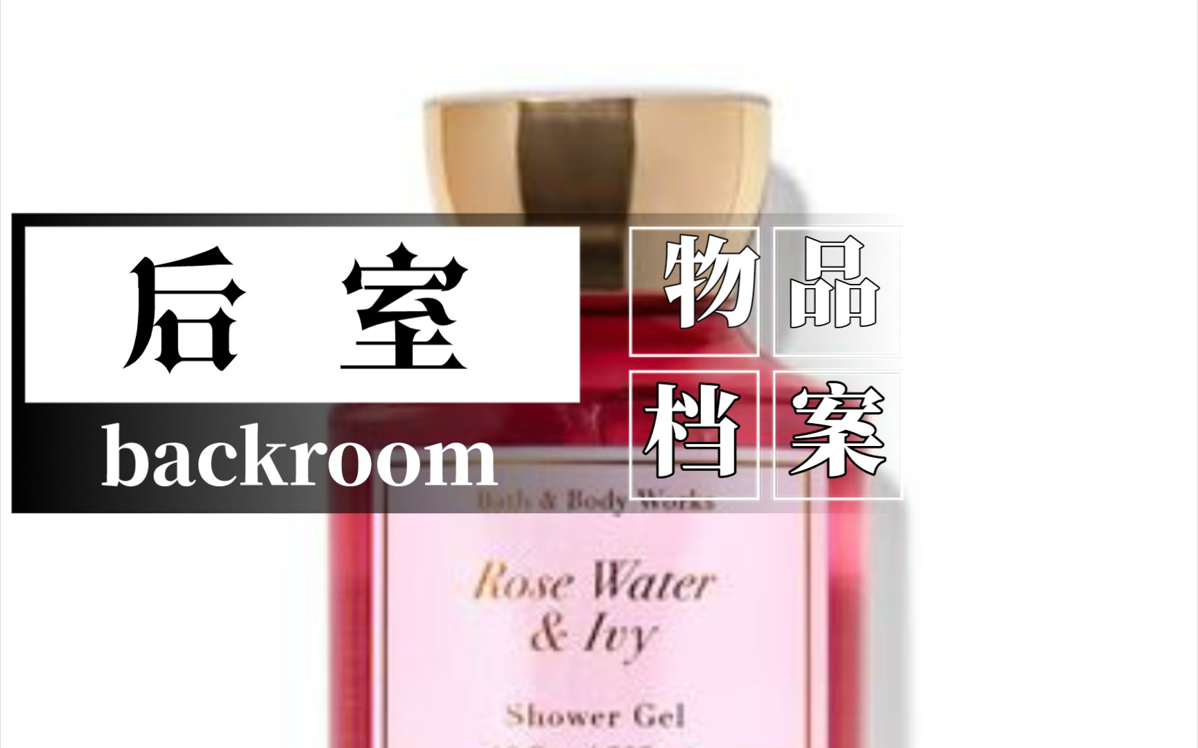 后室backroom/科普9号物品档案“玫瑰水”流浪者的安全宝哔哩哔哩bilibili