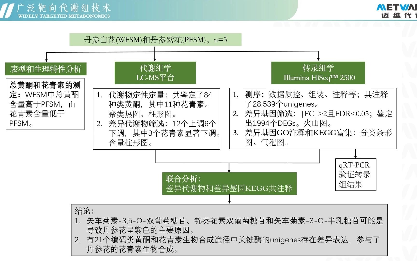 代谢组/多组学/转录组:迈维代谢项目文章两篇!丹参花和杨树花青素调控网络研究哔哩哔哩bilibili