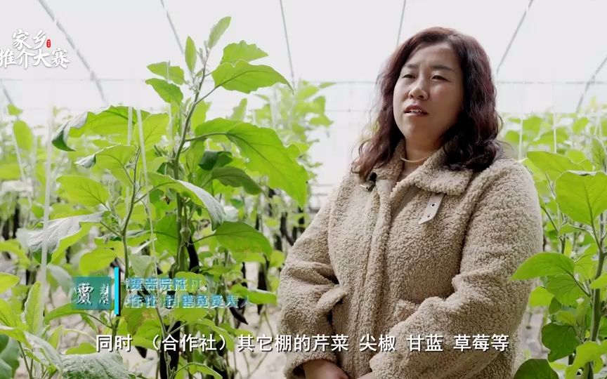 [图]河北武邑：人勤春来早 棚菜管理忙