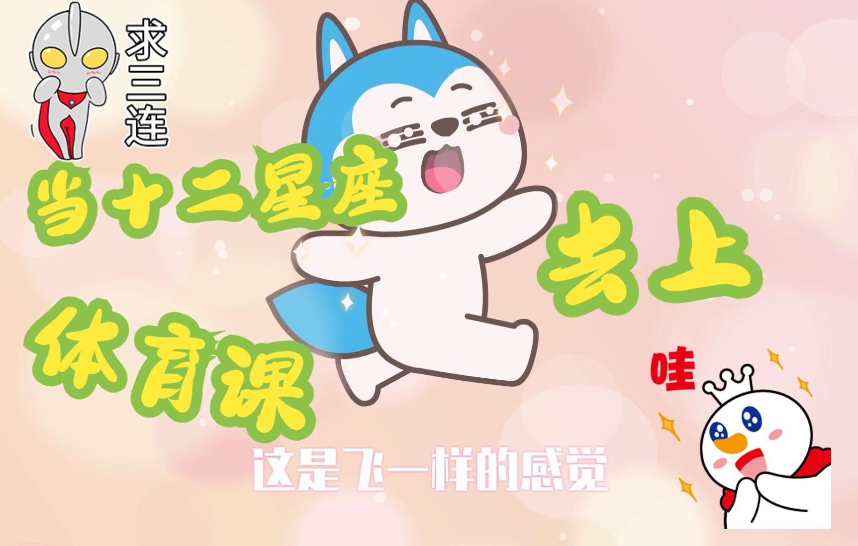 星座狗联盟第108集-国创-高清正版在线观看-bilibili-哔哩哔哩