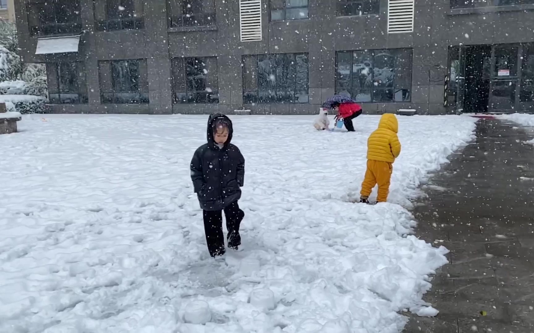 [图]十一月七日大雪，因此作