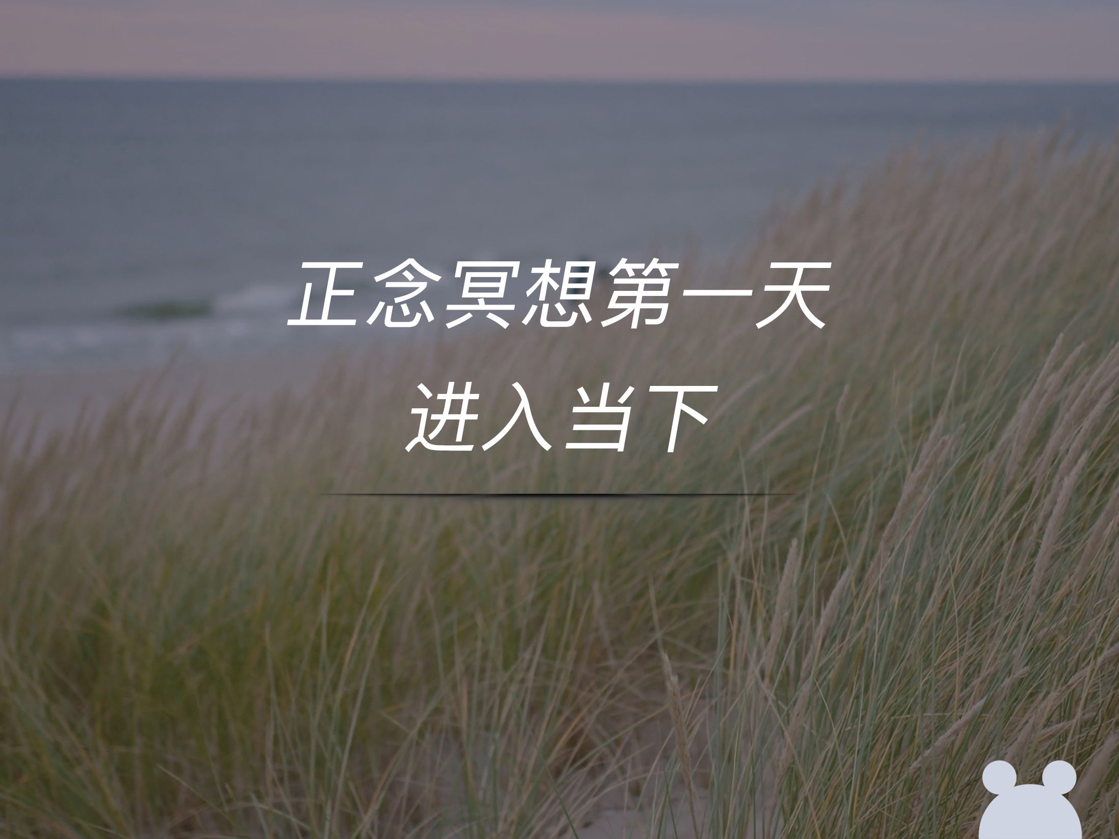 正念冥想 | 第一天:进入当下,保持觉知7015