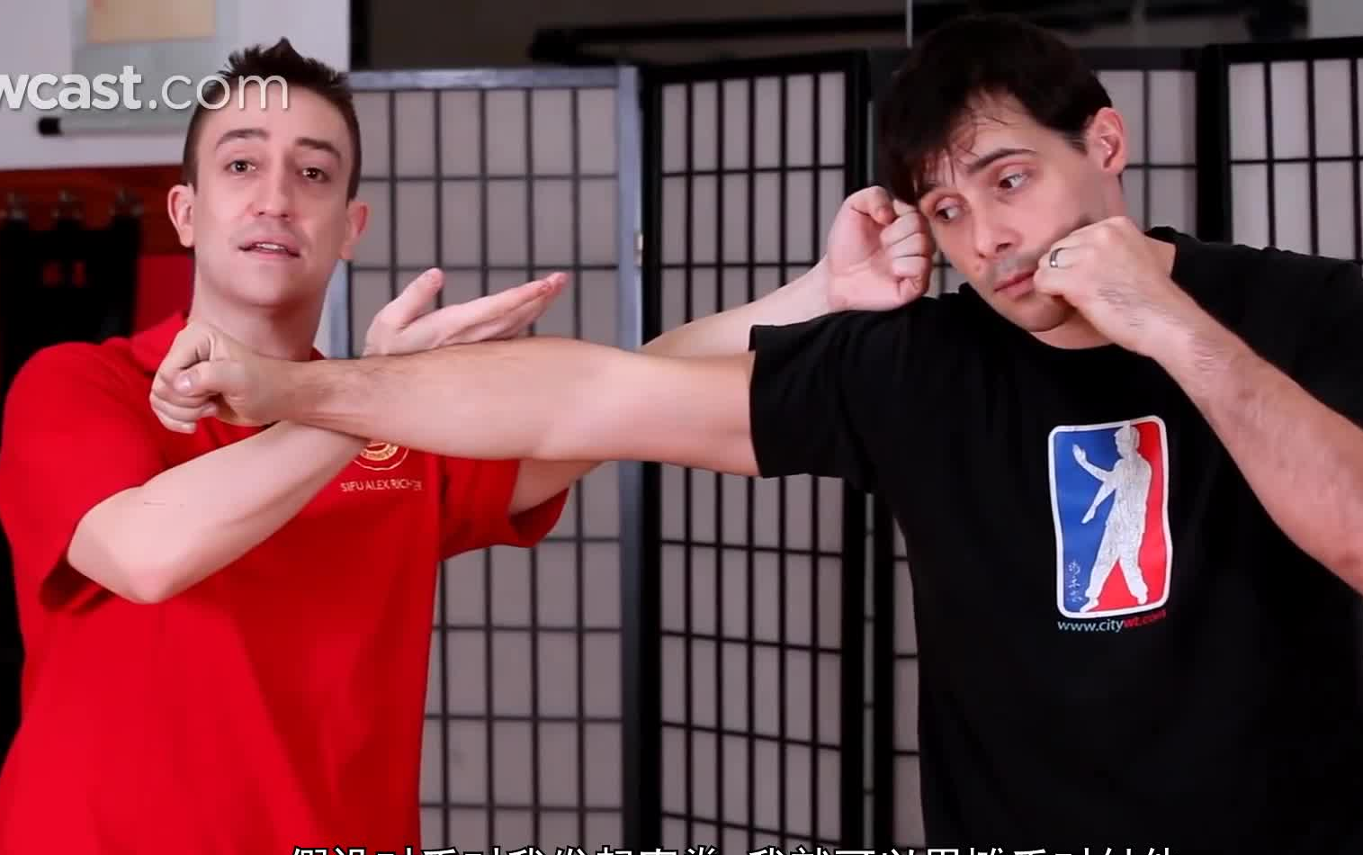 【咏春拳】摊手