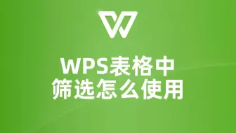 WPS表格筛选功能，让你的数据管理更高效！