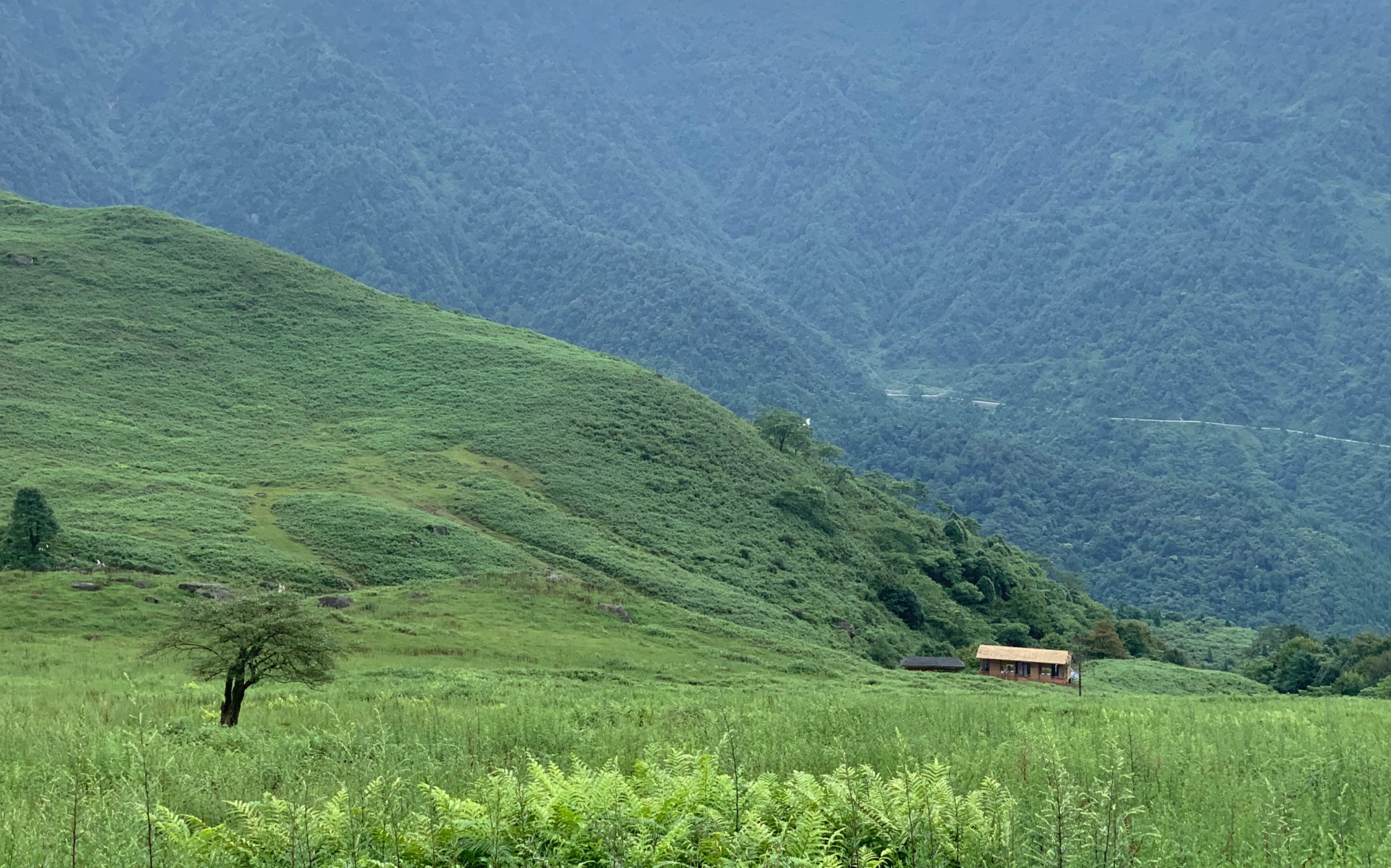 小众旅行|俄边县马里冷旧景区哔哩哔哩bilibili