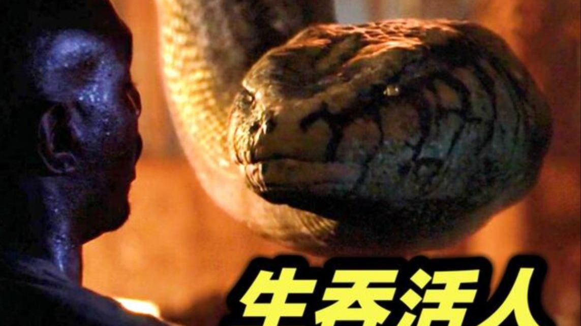 真正的童年阴影,大活人惨被蟒蛇生吞,恐怖电影《狂蟒之灾》