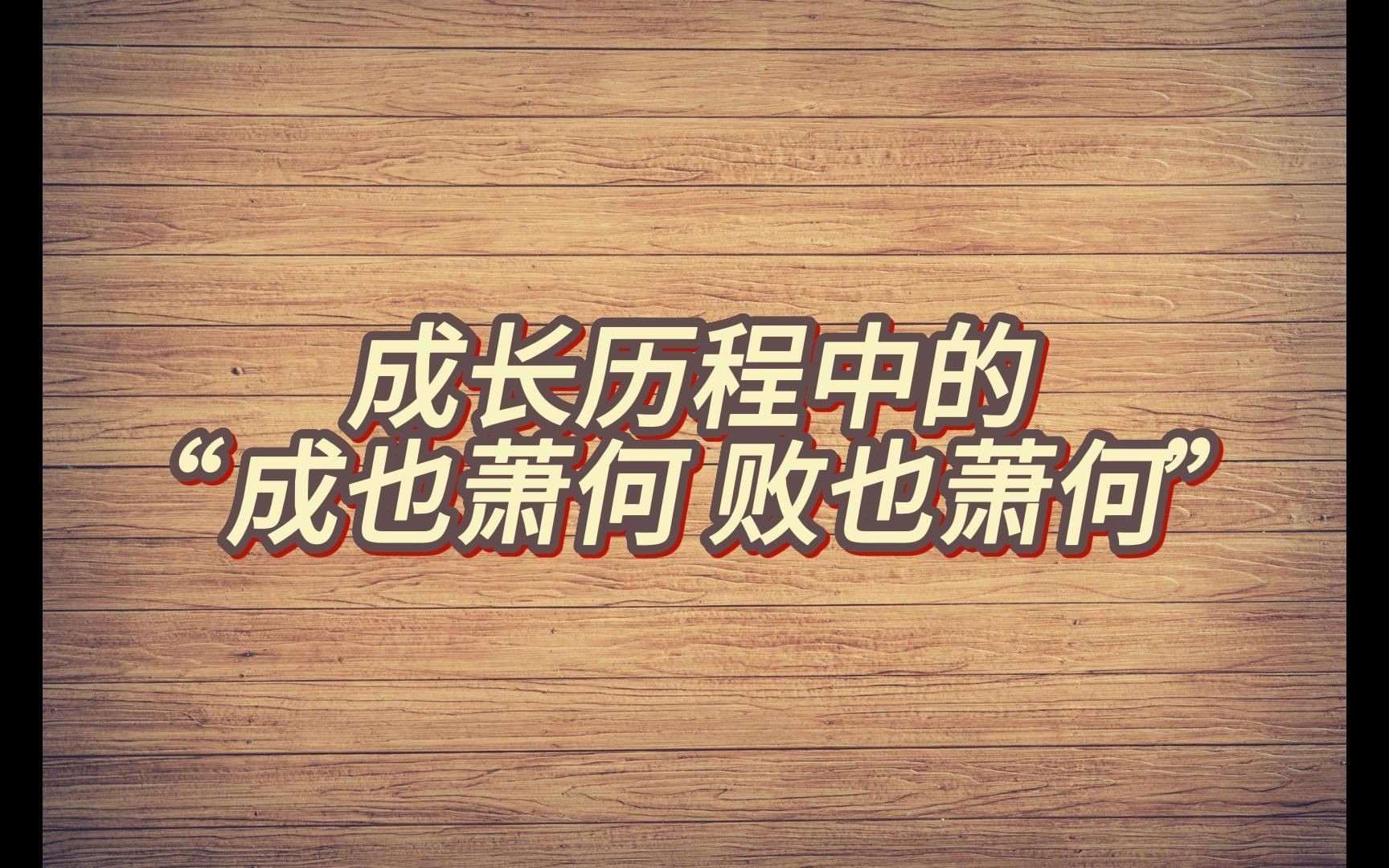 咨询案例分享||个人成长历程中的 “成也萧何,败也萧何”.哔哩哔哩bilibili