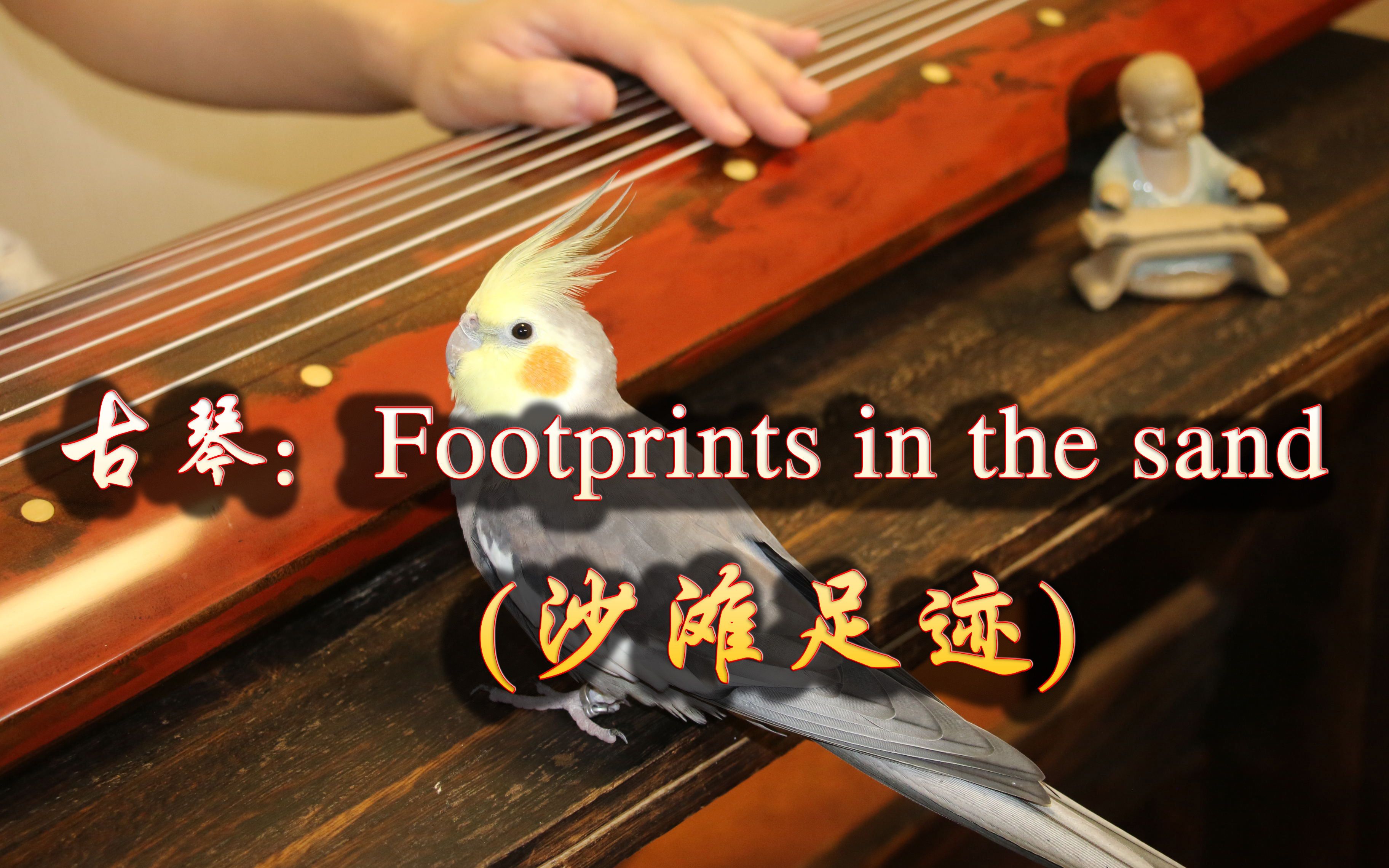 [图]【古琴】Footprints in the sand（沙滩足迹），演奏：梅旸&哆哆