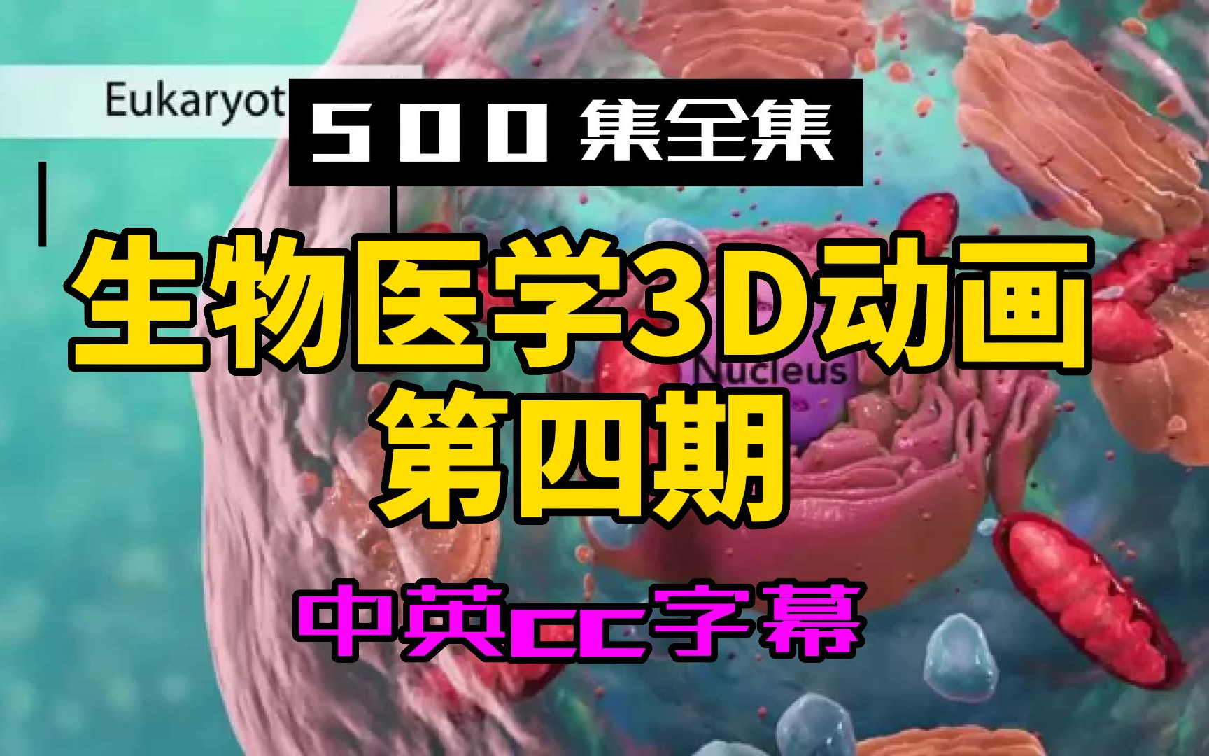 [图]【500集全集】生物医学3D动画第四期-第141至210集-中英cc字幕-生物医学英语-持续更中